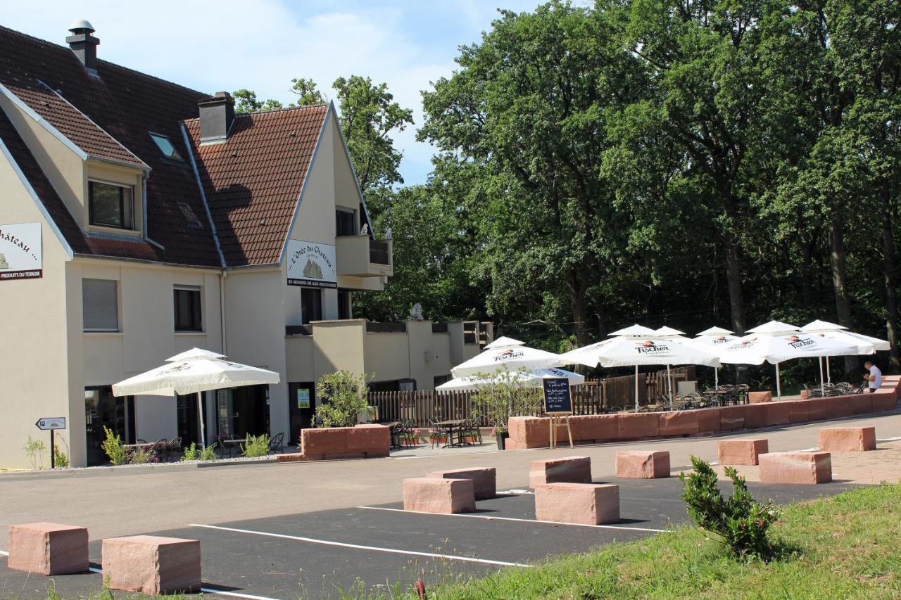 Gite L'Oree Du Chateau - Appartement Potiron Orschwiller Dış mekan fotoğraf